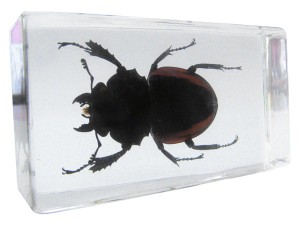 Epoxy Żywica do odlewania "water-clear" + Utwardzacz W300; zestaw/ 685 g