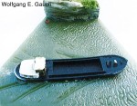 waterclear_9.jpg